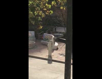 Collab IITW - Man maroon top dance blanket bench park