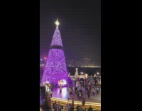 Time Lapse video of the giant Christmas Tree with lights at the park
