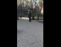 social distancing park wind chimes older couple 