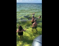 Stingrays swim and approaches group on water