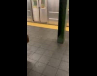 Breaded crab arm on the subway floor