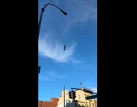 High heels hang on street pole cable
