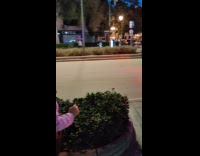 Woman says Merry Christmas to glowing car