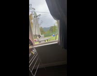 Bald guy blue shirt laying on grass with two dogs