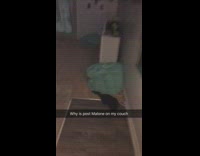 Collab BitchMP - Girl post malone couch 