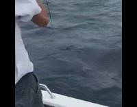 Guy reaches in ocean grabs silver fish 