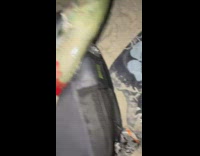 Guy gets bit by fish he caught 