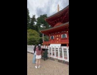 Woman prays at the temple with photoshoot