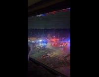 Dog watching accident from window