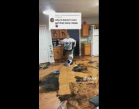 Lady Dance as she Cleans Ink Mess