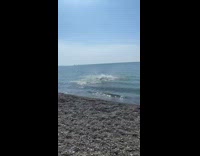 Guy uses large tree branch to vault into shallow water at beach