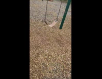 Little boy pushed off swing go higher 
