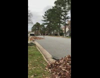 Skater lands in pile of leaves 