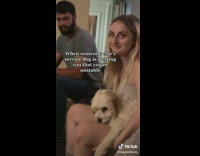 White dog licking girls leg on couch