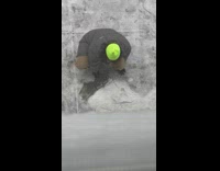 Person scraping ice and snow off the ground with a dust pan 
