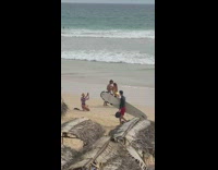 Woman leans on surfboard posing with boyfriend 