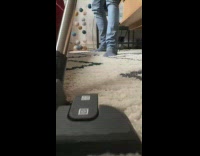 Guy vacuums carpet cat watches finds stuff under couch