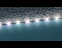 Ladybug crawl on light make colorful effect