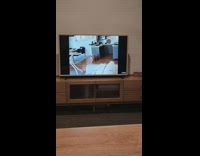 Dog watch dog featured in daily dose