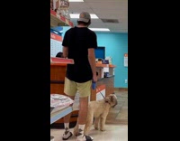 Guy films Dog poop prank at PetSmart