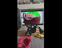 Cocomelon Intro Plays then Baby Rises from Stroller