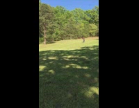 Red shirt guy bicycle grass ramp fail 