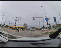 Dog jumps while they cross the road