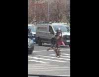 Person dressed in knight costume crossing street