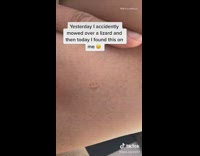 Girl face imprint on leg thigh lizard 