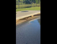 Collab Clips MPUGC - Turtle runs into sewer drain