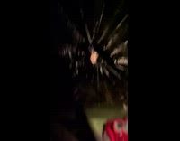 Collab WeirdM - Man Throws Insect on Web then Spider Grabs it