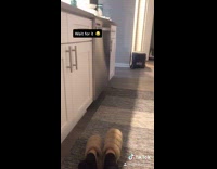 Girl plays audio clip kitten comes running