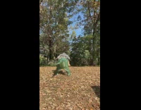 Man in Dinosaur Ride Costume Shakes Butt