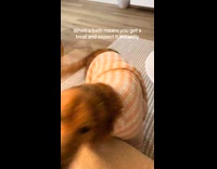 Dog runs shower waits for treat