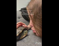 Woman boops her turtle on the nose