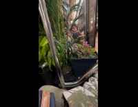 Man loads entire garden inside the subway