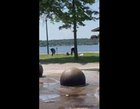Two men with animal mascot head yoga by the lake