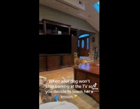 Collab Clips MPUGC - Woman lets dog watch jump scare video