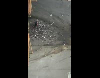 Grandma black pants feeds pigeon birds asphalt 