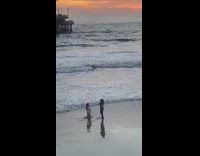 Woman dress kneel hold head beach sunset