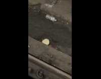 Two rats eat bagel at subway rail