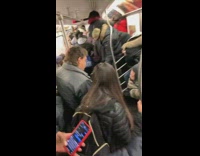 Subway passengers scream and panic as rat runs around floor on subway train