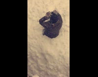 Woman balcony jump and drop on snow