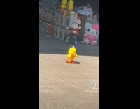 Dancing toy chick on the street 