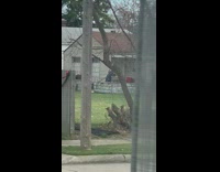 Woman long blue dress tiktok dance backyard