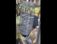 Soap bubbles formed inside clear plastic bottle