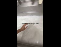 Employee fishing out dishes from sink