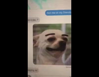 (3RD PARTY CONTENT) Woman gives her number to random guy at the club and sends chihuahua meme to him