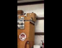 Evil kitty peeking from box 