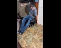 Man sits on top of black dog